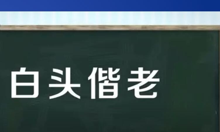 白头偕老是什么意思