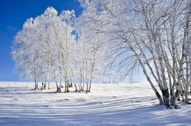 雪绣的意思是什么