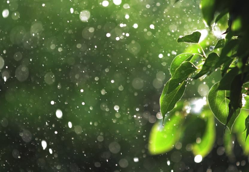 梅雨期的主要天气特征是什么