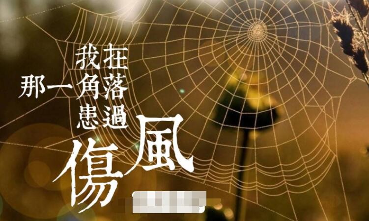 《我在那一角落患过伤风》的歌词是什么