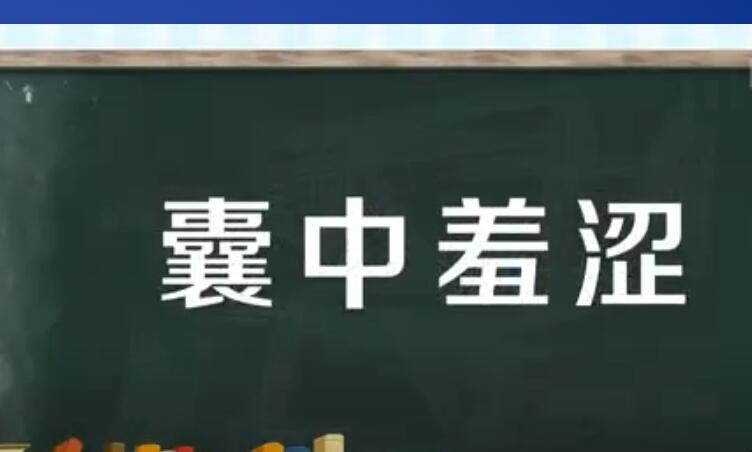 囊中羞涩的意思是什么