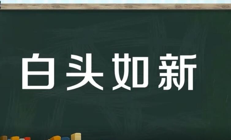 白头如新是什么意思