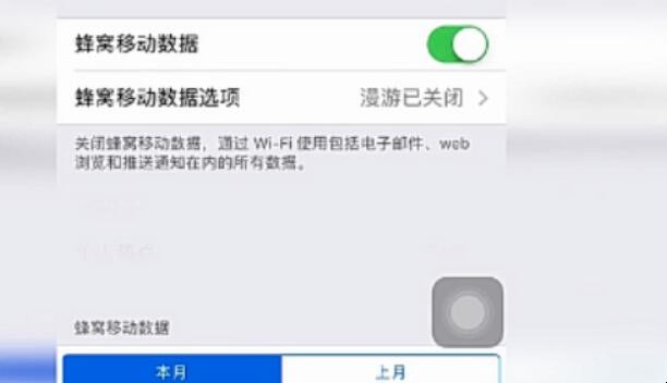 苹果手机怎样开数据流量