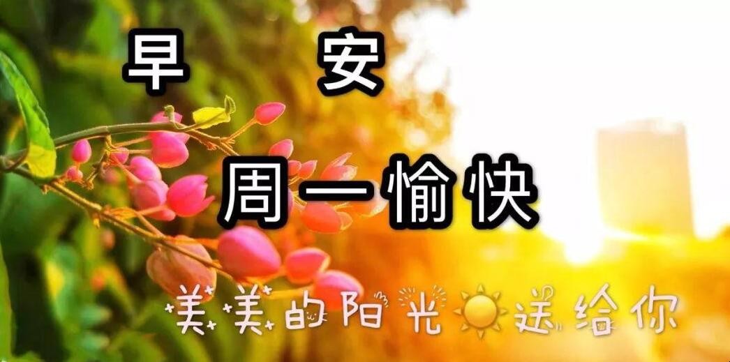 周一祝福短信有哪些