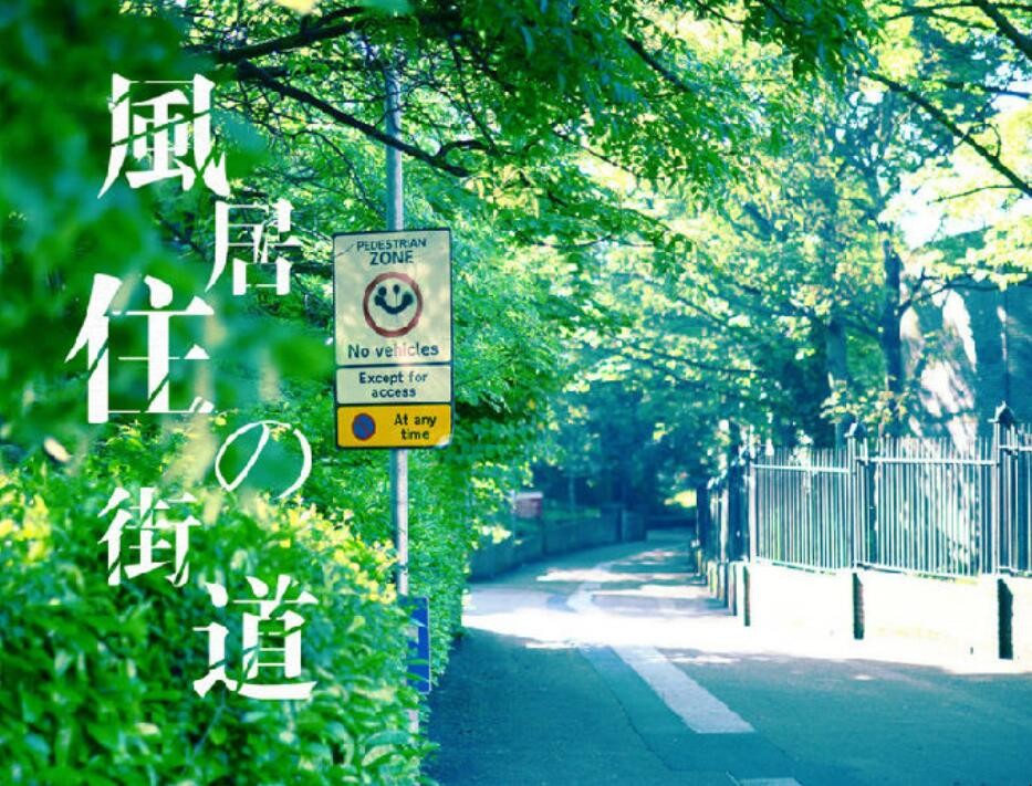 《风居住的街道》中文歌词是什么