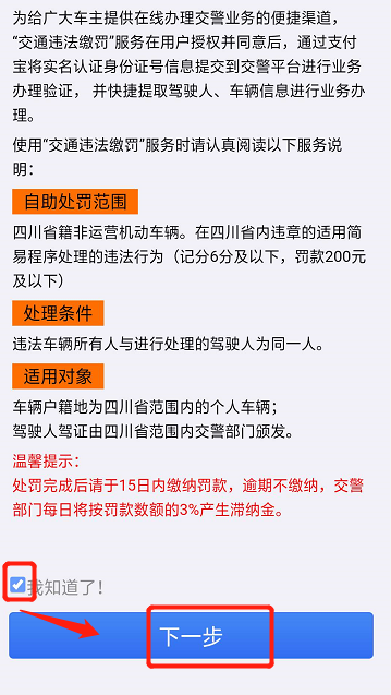 怎么用支付宝进行违章处理和网上缴费