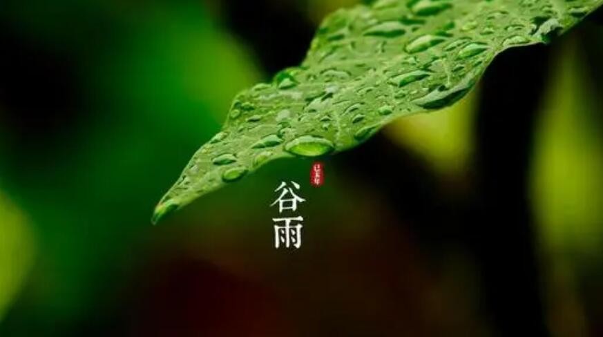 谷雨是什么意思