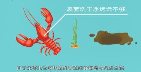 大龙虾怎么洗