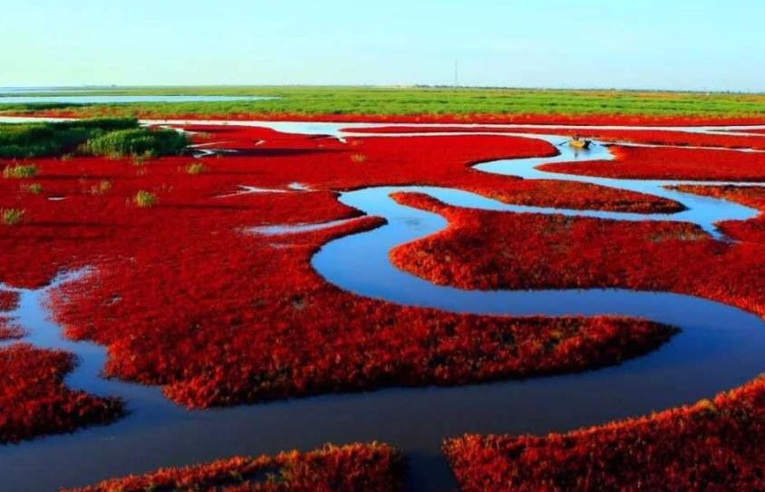 盘锦红海滩在哪里