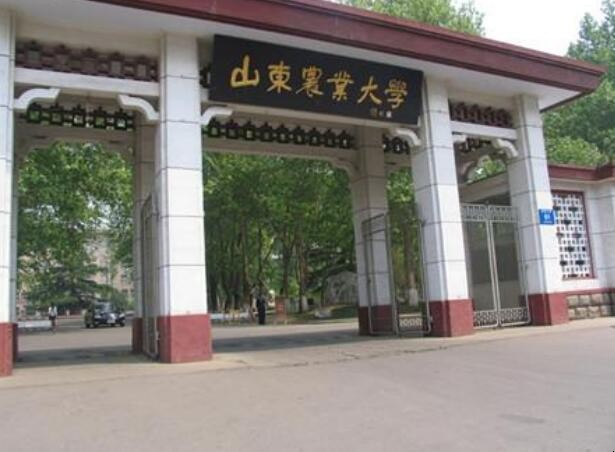 山东农业大学是一本还是二本