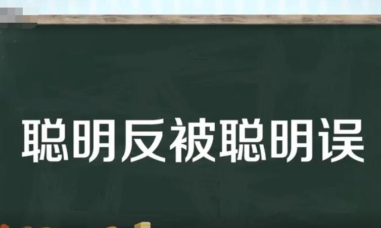 聪明反被聪明误的意思是什么