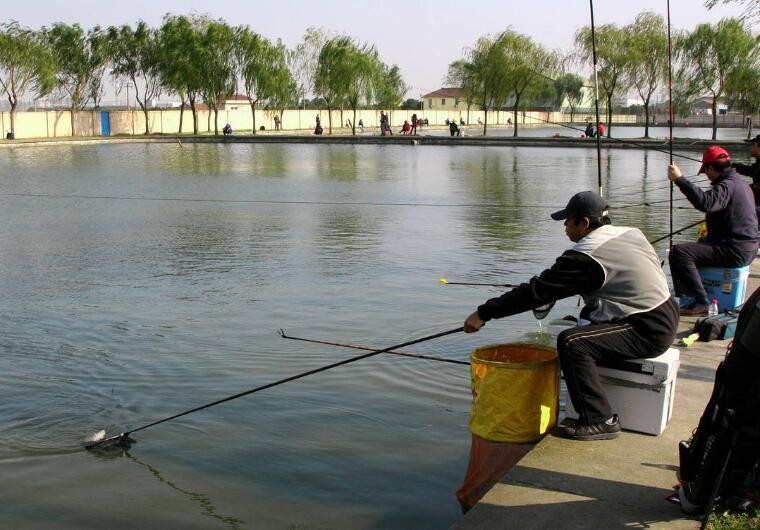 水浅钓鱼用什么漂