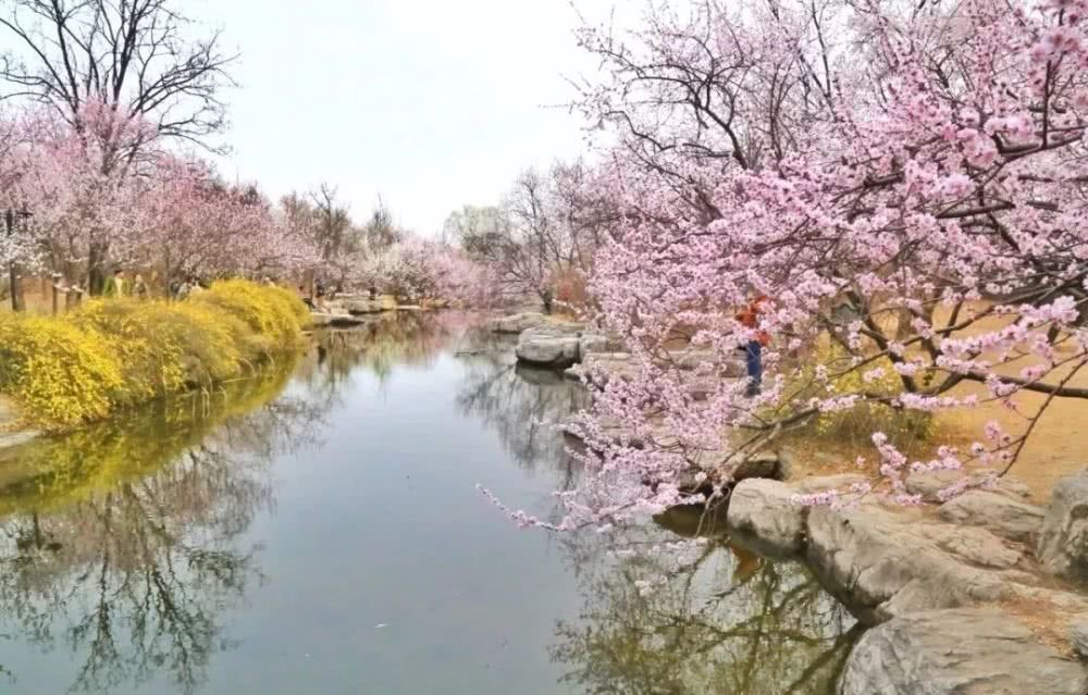 《桃花溪》这首古诗的意思是什么