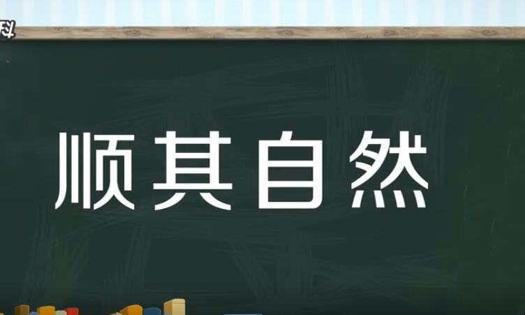 顺其自然怎么造句