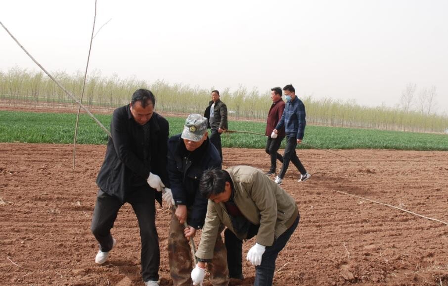 先礼后兵的意思是什么