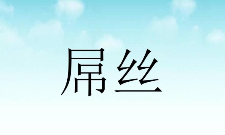 什么是吊丝