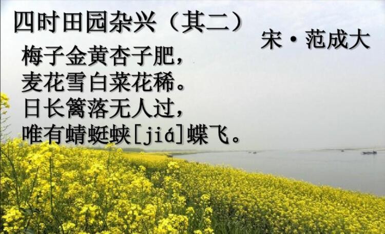 日长篱落无人过的全诗是什么