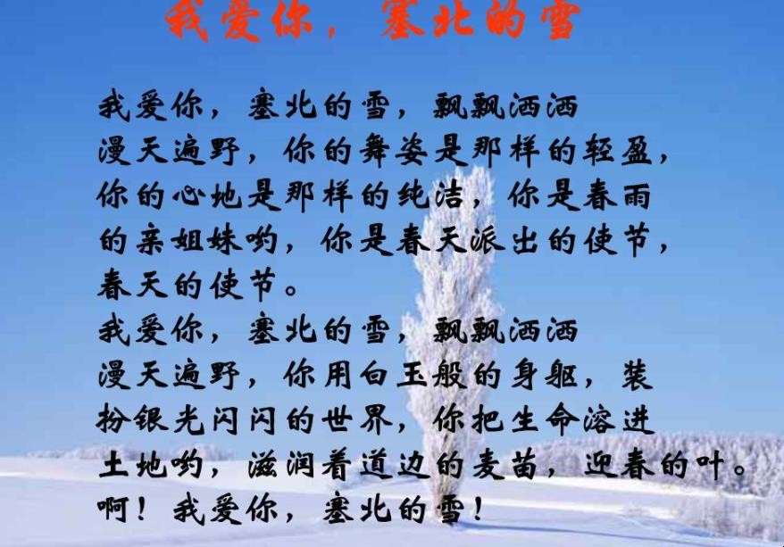 《塞北的雪》的歌词是什么