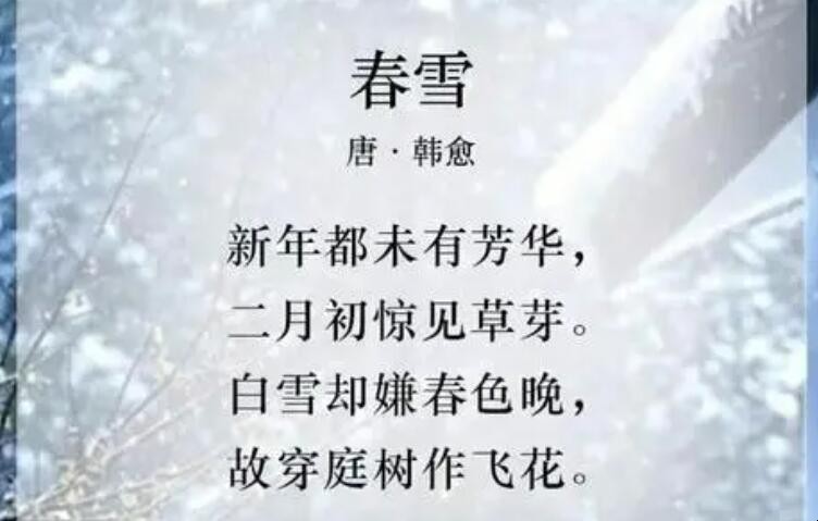 《春雪》属于什么体裁