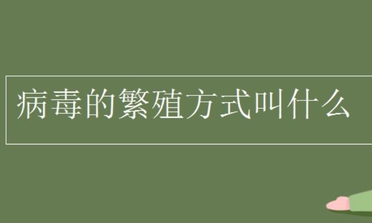 病毒繁殖的方式是什么