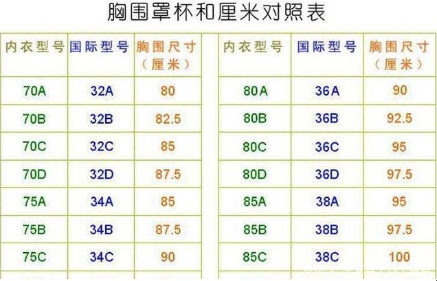 如何选购文胸和确定尺码