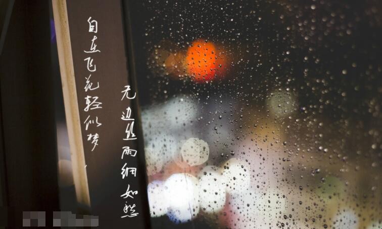 自在飞花轻似梦无边丝雨细如愁的意思是什么