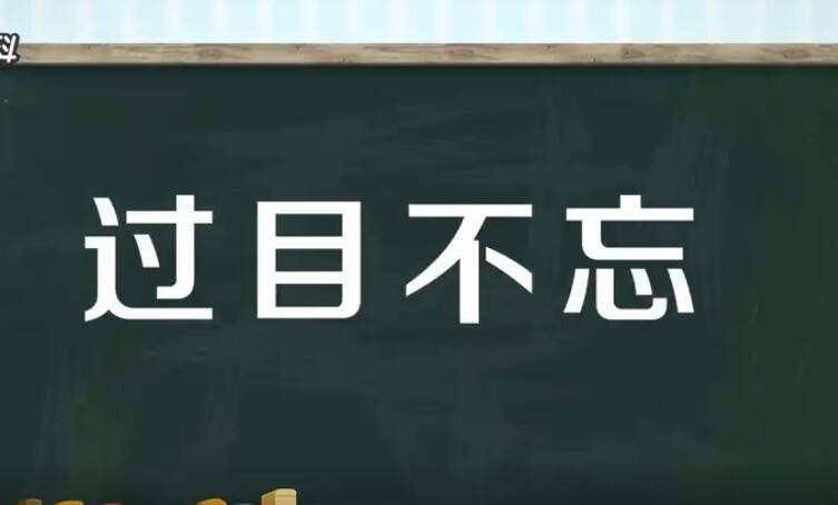 过目不忘的意思是什么