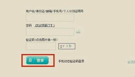 人寿车险如何查询