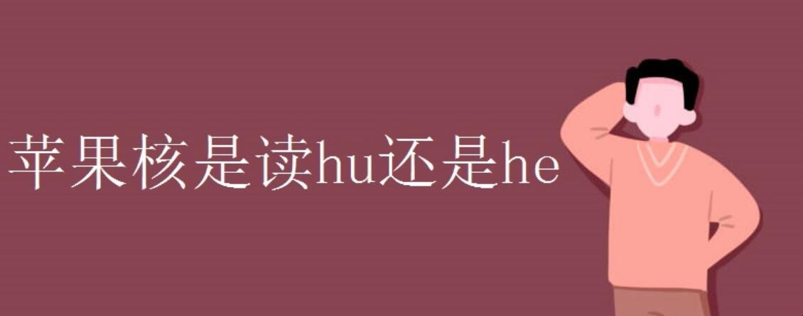 苹果核是读hu还是he