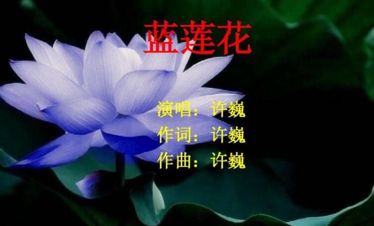 《蓝莲花》的歌词是什么