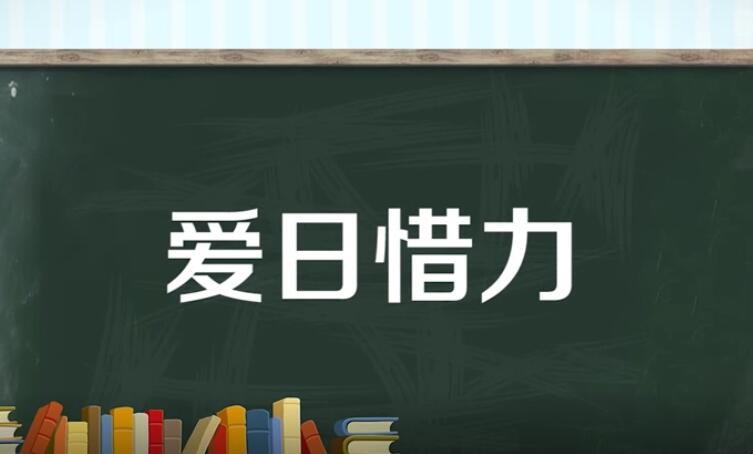 爱日惜力的意思是什么