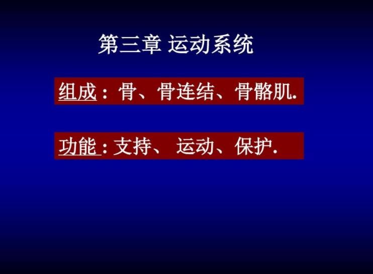 运动系统由哪三部分组成