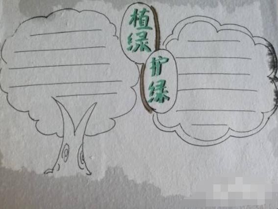 植绿护绿手抄报怎么画