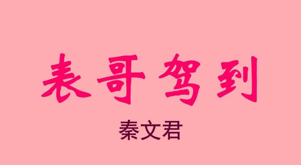 《表哥驾到》读后感怎么写