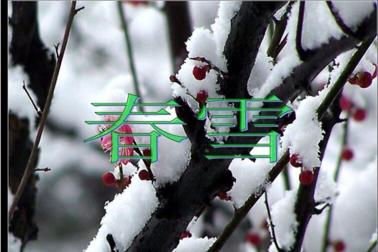 白雪却嫌春色晚下一句是什么