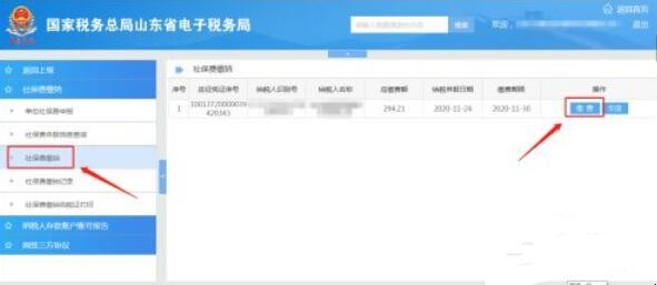 山东省电子税务局怎么缴纳单位社保费用