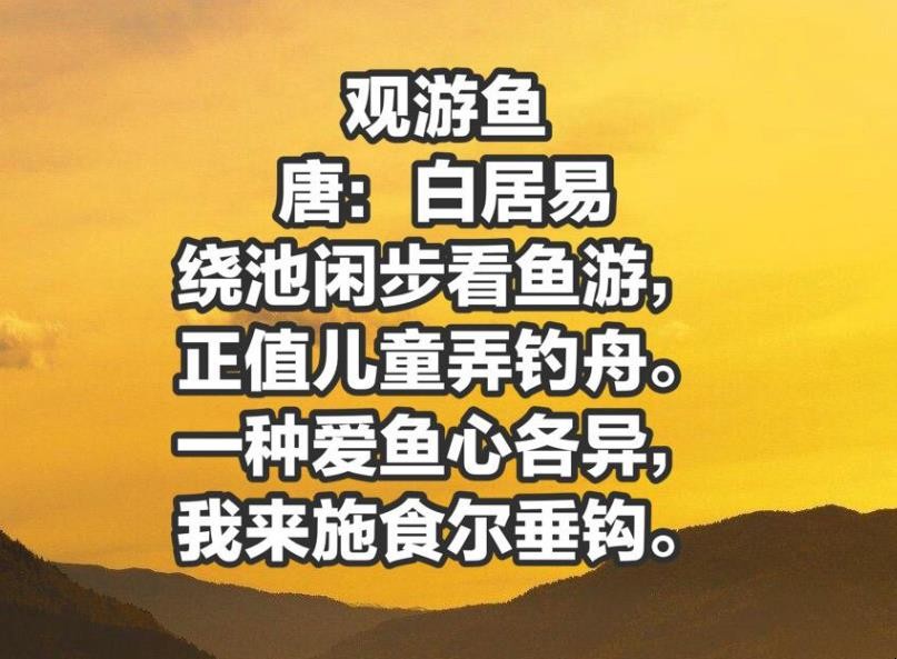 《观游鱼》作者是谁