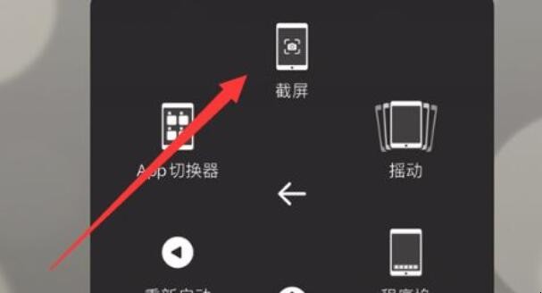 ipad pro怎么截图