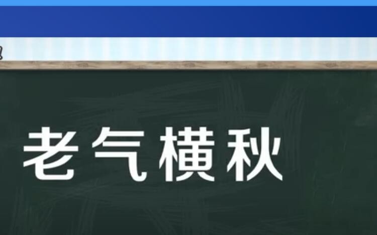 老气横秋