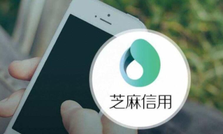 支付宝信用分怎么不涨了