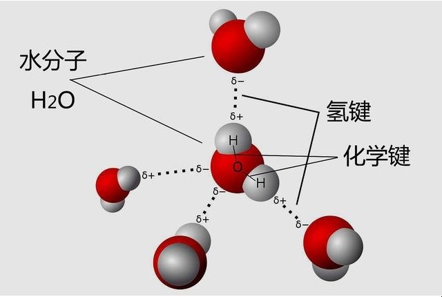 什么是化学键