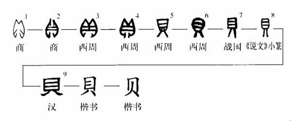 贝在在海边是经常听说的，因为海边哟很多的贝壳。下面一起来看看