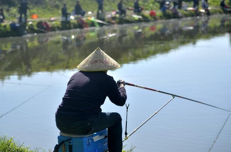 海鸥岛有什么好玩的