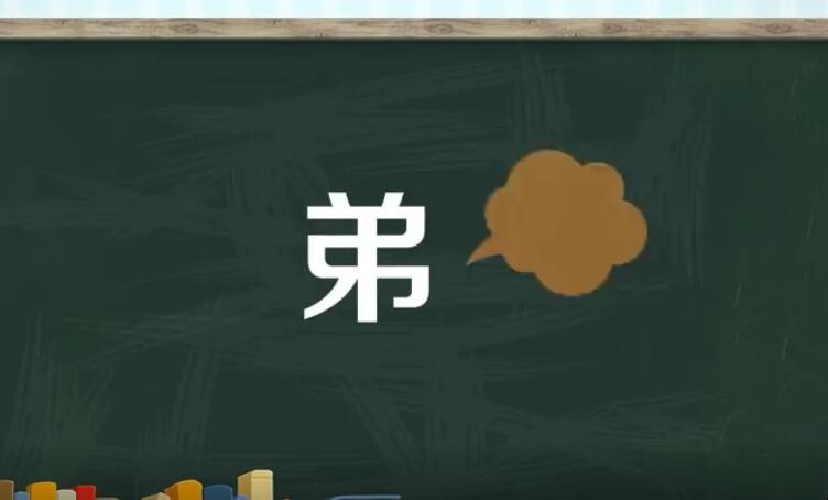 弟是什么结构的字