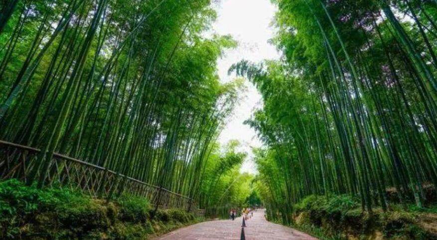 蜀南竹海自驾旅游攻略是什么