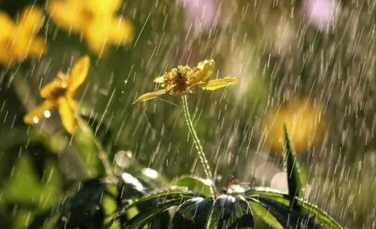 绵绵的春雨不停的下着改为比喻句怎么写