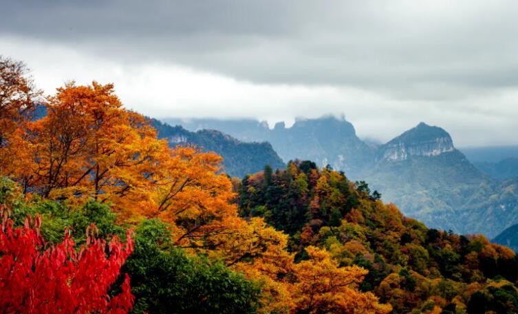 光雾山