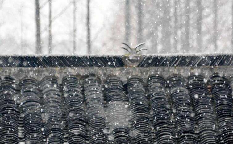 雨夹雪形成原因是什么