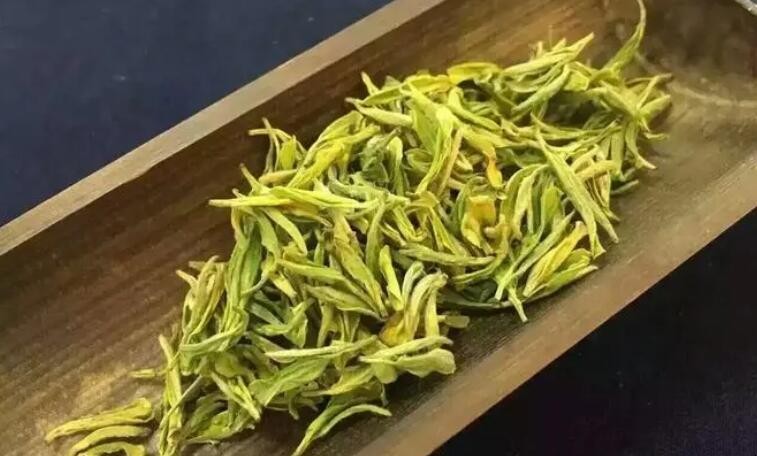 黄茶是哪里的特产