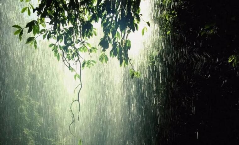 下雨之前的自然现象有哪些